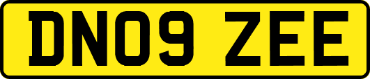 DN09ZEE