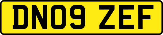 DN09ZEF