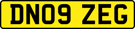 DN09ZEG
