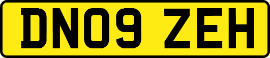 DN09ZEH