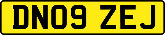 DN09ZEJ
