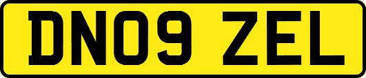 DN09ZEL