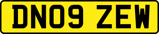 DN09ZEW