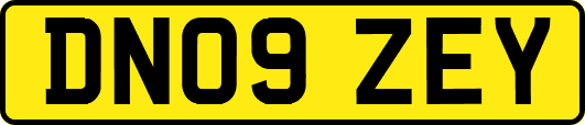 DN09ZEY