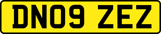 DN09ZEZ