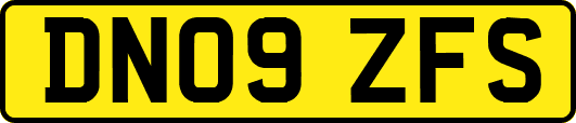 DN09ZFS