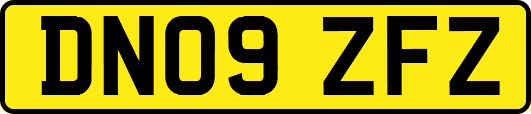 DN09ZFZ