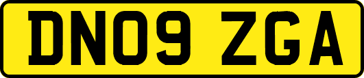 DN09ZGA
