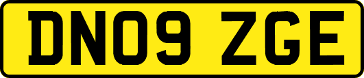DN09ZGE