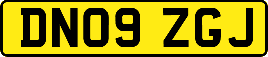 DN09ZGJ