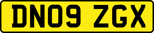 DN09ZGX