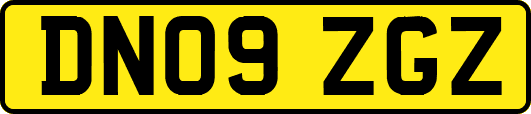 DN09ZGZ