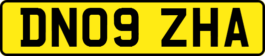 DN09ZHA