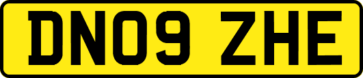 DN09ZHE