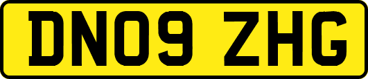 DN09ZHG