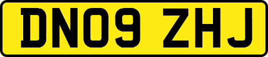 DN09ZHJ