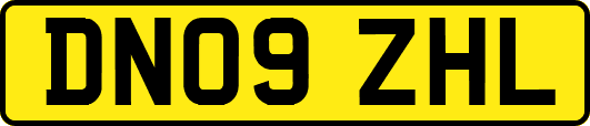 DN09ZHL