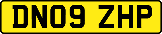 DN09ZHP
