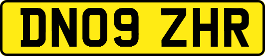 DN09ZHR