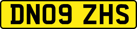 DN09ZHS