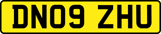 DN09ZHU