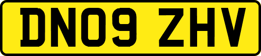 DN09ZHV