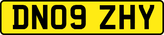 DN09ZHY