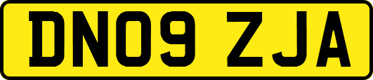 DN09ZJA