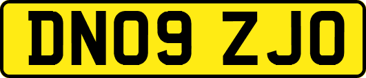 DN09ZJO