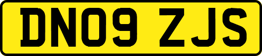 DN09ZJS