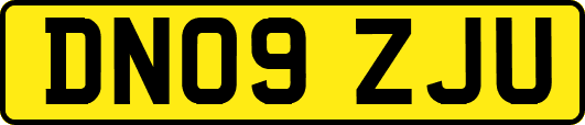 DN09ZJU