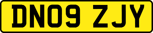 DN09ZJY