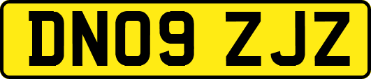 DN09ZJZ