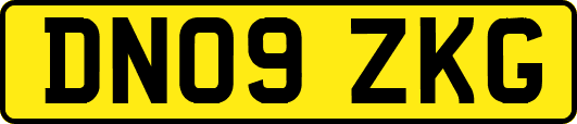 DN09ZKG