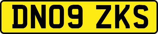DN09ZKS