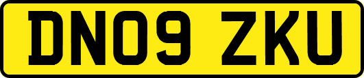 DN09ZKU