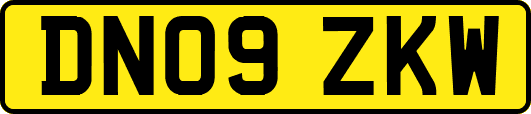 DN09ZKW