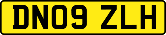 DN09ZLH