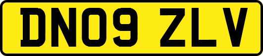 DN09ZLV
