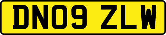 DN09ZLW