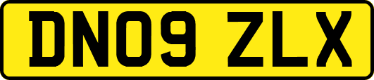DN09ZLX