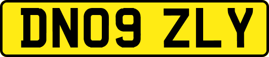 DN09ZLY