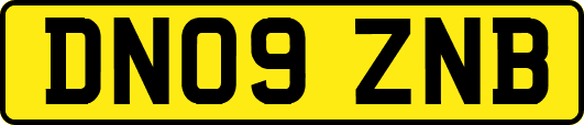 DN09ZNB
