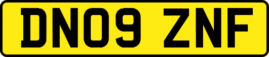 DN09ZNF