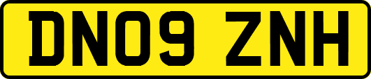 DN09ZNH
