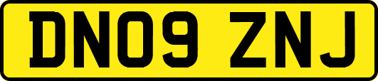 DN09ZNJ