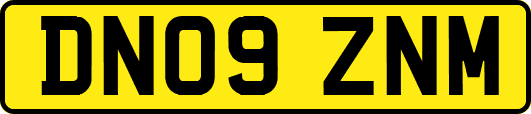 DN09ZNM