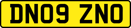 DN09ZNO