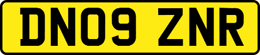 DN09ZNR