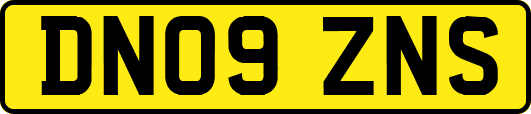 DN09ZNS